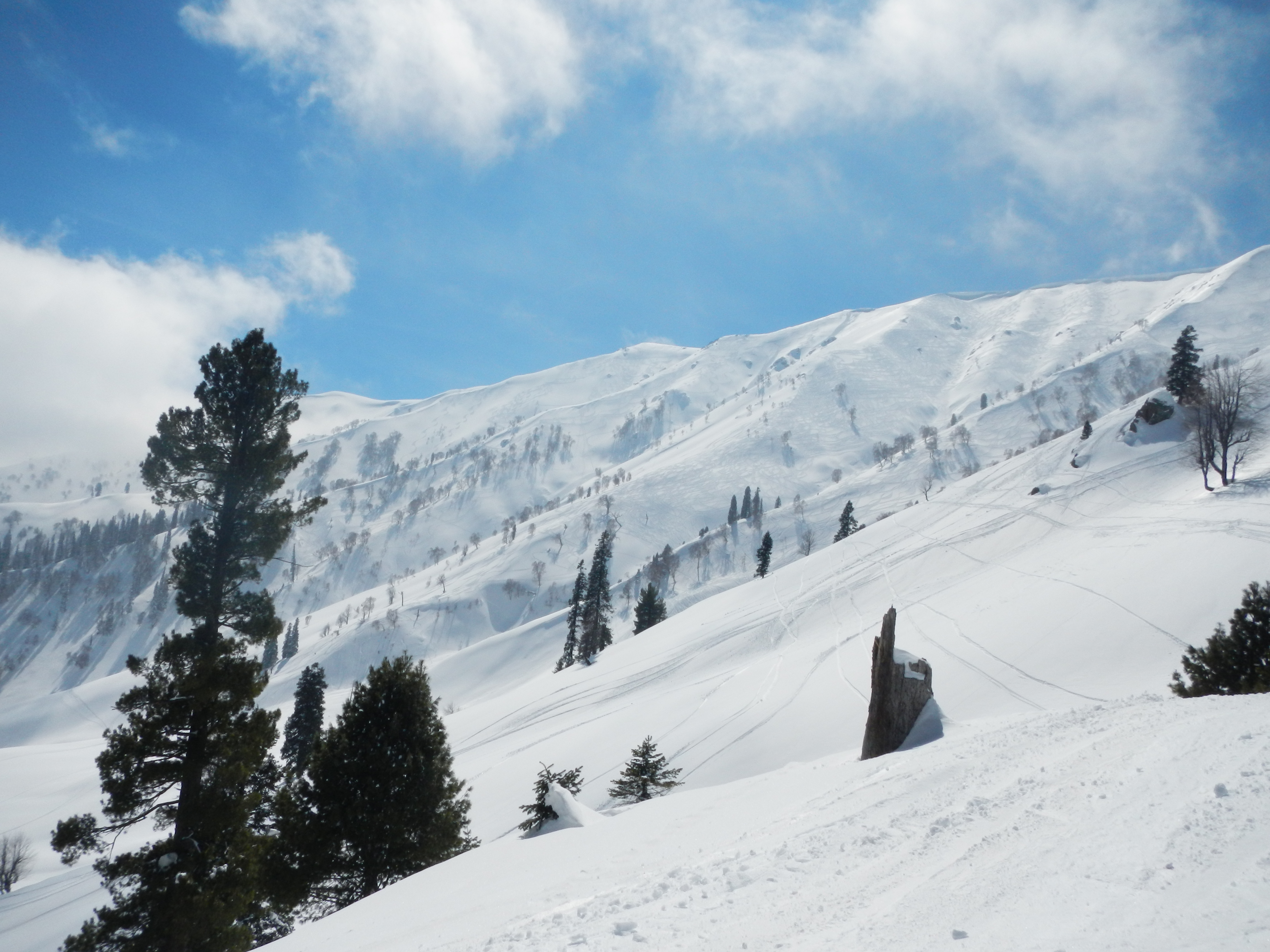 https://d3r8gwkgo0io6y.cloudfront.net/upload/gulmarg kashmir-029.jpg